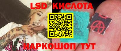 прущие крисы Кандалакша